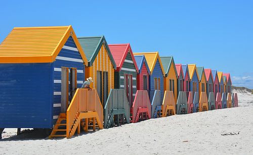 Kleurrijke strandhuisjes Muizenberg Beach Kaapstad Zuid-Afrika