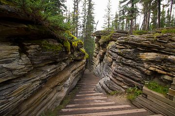 trapje Canada by Irene de Moree