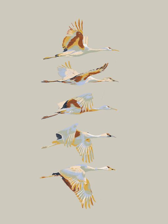 Freier Vogel von <span class="secondary-font">Studio Carper</span>