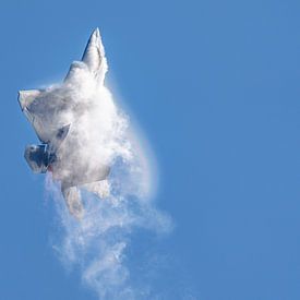 U.S. Air Force Lockheed Martin F-22 Raptor Demo Team. von Jaap van den Berg