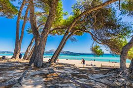 Majorca sand beach at beautiful bay of Alcudia, Can Picafort, Platja de Muro, Spain Balearic islands by Alex Winter