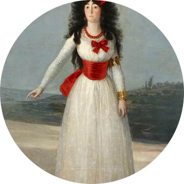 De Witte Hertogin, Francisco Goya