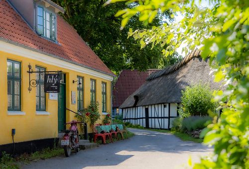 Nature morte sur l'île danoise de Lyo