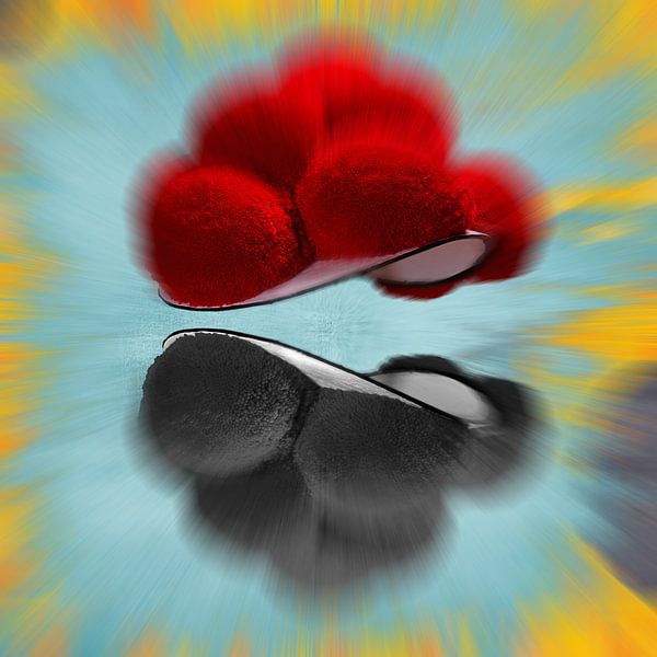 Zwarte Woud Bollenhüte 2.6 van Ingo Laue