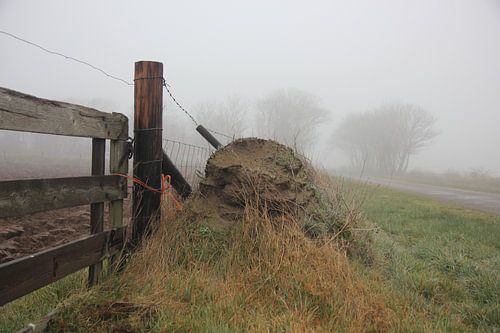 Texel Landschap 046