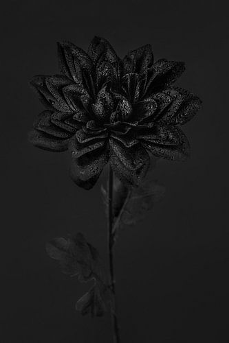 Fake flower 3