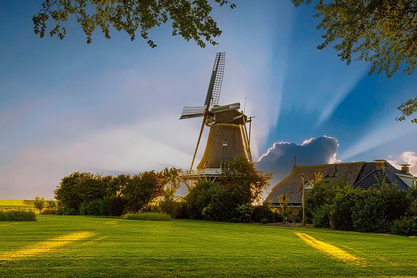 Mill de Hond near Paesens-Moddergat, Friesland by Gert Hilbink