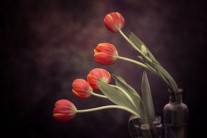 5 Tulipes sur Marina de Wit