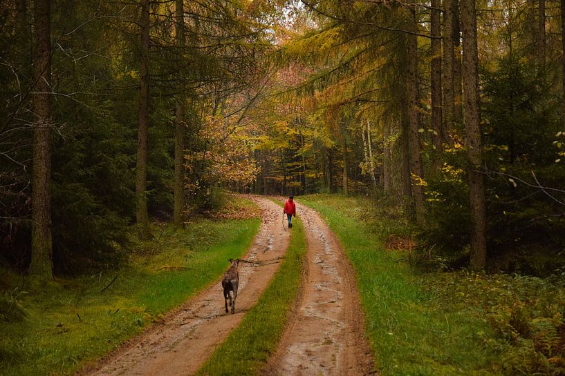 Rödgen, Belgique par Jarne Buttiens
