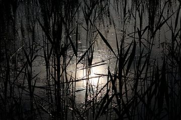 Avond aan het meer van Thomas Jäger