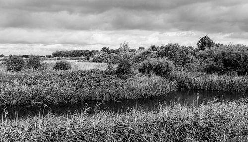 Black and white landscape a beautiful view over the dunes in scheveningen
