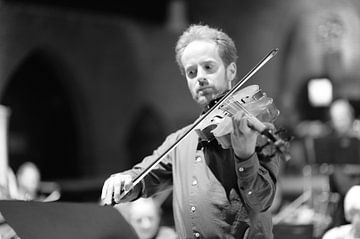 De violist van Rob van Dam