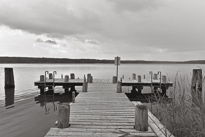 Sommerlicher Badesteg am Storkower See in Hubertushöhe von Silva Wischeropp