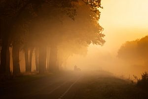 Motorradfahrer mit Beiwagen im Nebel
