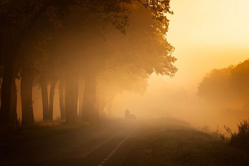 Motorcyclist with sidecar in fog