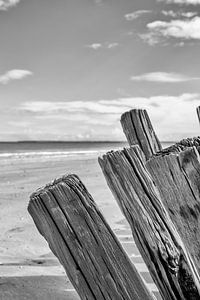 Omaha Beach abstract van Rob van der Teen