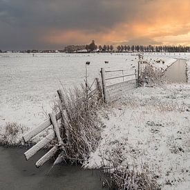 Hek met sneeuw in de Wogmeer van peterheinspictures