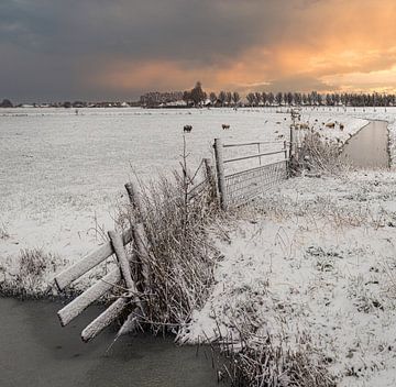 Zaun mit Schnee im Wogmeer