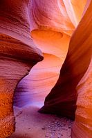 The Canyon