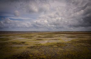 Het Groene Strand, Ameland