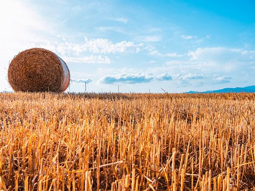 Hooibalen in het landschap