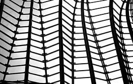 fête sur le toit du musée de valencia