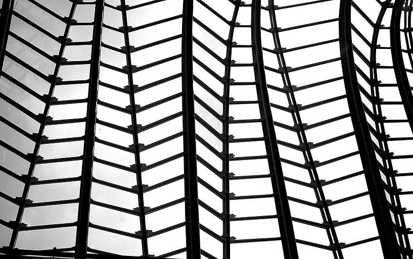 valencia museum dachparty von joyce kool