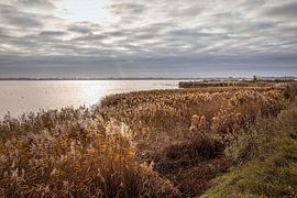 IJsselmeer by Rob Boon