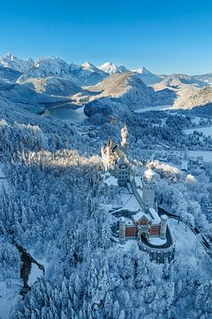 Wintertraum am Schloss Neuschwanstein von Markus Lange