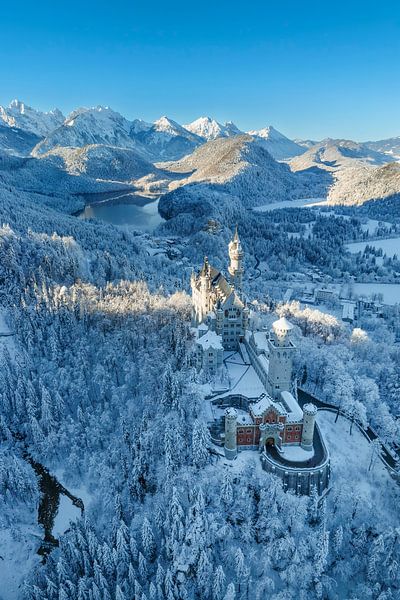Winter dream at Neuschwanstein Castle by Markus Lange