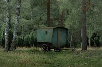 Groen, Groen, Groen