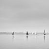Die Regatta von Heiko Westphalen