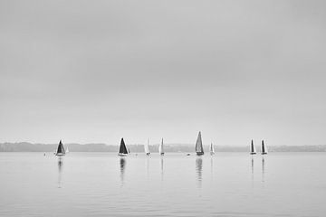 The regatta by Heiko Westphalen