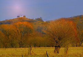 Hertbstleuchten von Vera Laake