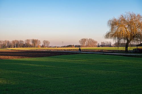 Goldener Sonnenuntergang über der flämischen Landschaft