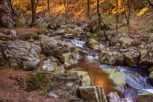 La Hoëgne (Ardennen)