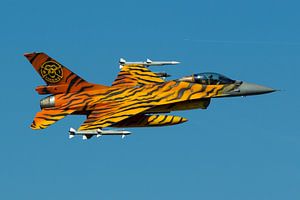 Force aérienne belge F-16AM Fighting Falcon