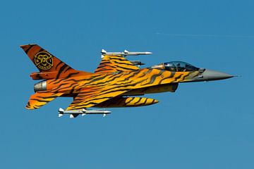 Belgische Luchtmacht F-16AM Fighting Falcon van Dirk Jan de Ridder