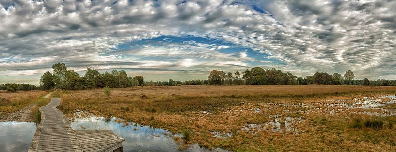 Panoramic photo of the Buurserzand by Jerry Bouwmeester