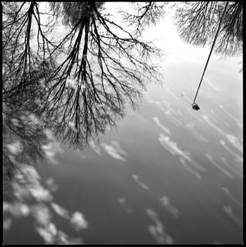 Reflections