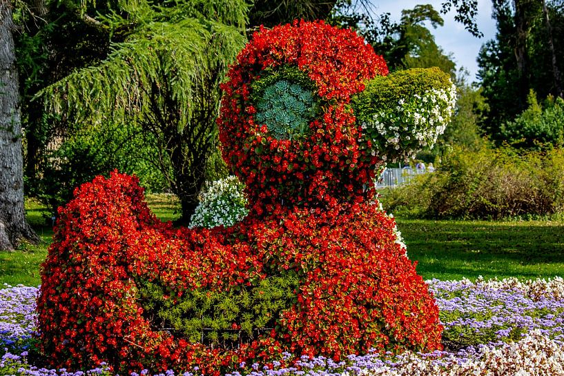 Lac de Constance : île de Mainau - Canard à fleurs par Photoart-Naegele