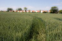 urban_landscape
