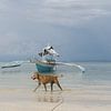 Photo de plage avec chien et bateau sur Ubo Pakes
