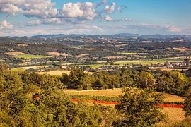 Citta di Castello by Rob Boon
