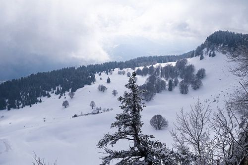 Parc naturel régional du Vercors dans les Alpes françaises sur Ralph Rozema
