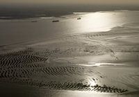 Zandplaat Westerschelde bij laagwater.