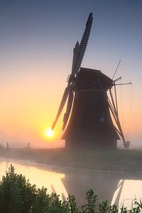 Phoenix et le soleil