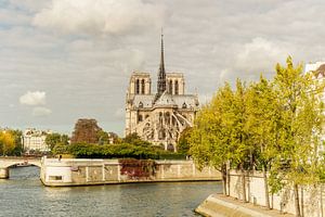 Paris Notre-Dame sur davis davis