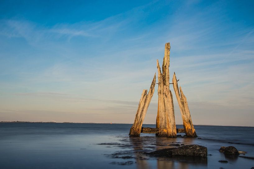 Eagle head Grevelingen - Zealand by Mascha Boot