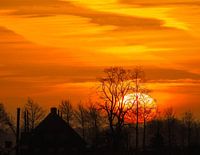 La lune à travers les arbres